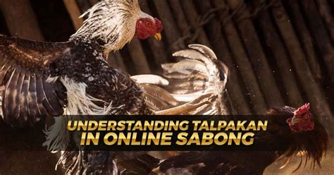 talpakan|talpakan sabong.